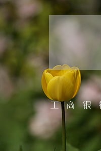 工商银行信用卡逾期一天停止了吗