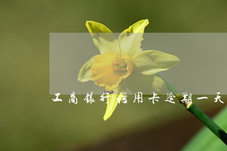 工商银行信用卡逾期一天后再还