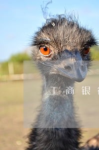 工商银行信用卡逾期一天扣98块