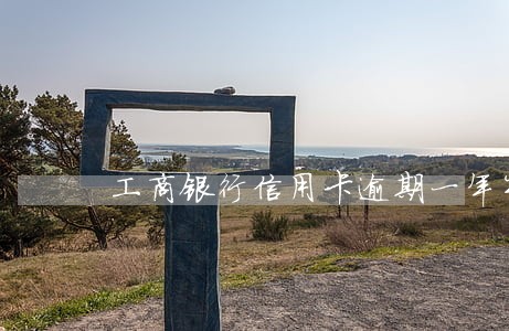 工商银行信用卡逾期一年半了 工商银行信用卡逾期一年半了