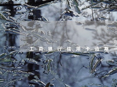 工商银行信用卡逾期一年变废卡 工商银行信用卡逾期一年变废卡