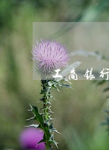 工商银行信用卡逾期一年的后果 工商银行信用卡逾期一年的后果