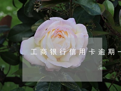 工商银行信用卡逾期一年计算 工商银行信用卡逾期一年计算