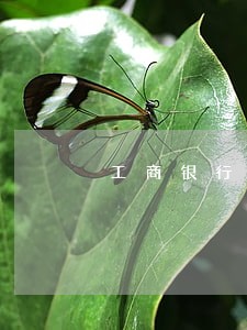 工商银行信用卡逾期一般多久 工商银行信用卡逾期一般多久
