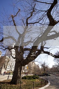 工商银行信用卡逾期三个月后果