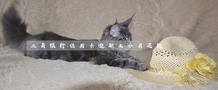 工商银行信用卡逾期三个月还款 工商银行信用卡逾期三个月还款