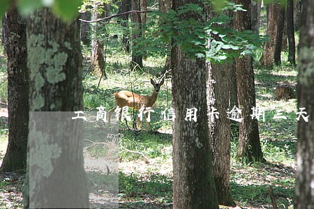 工商银行信用卡逾期三天会怎样