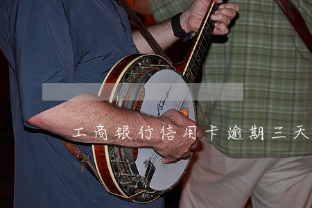 工商银行信用卡逾期三天信息 工商银行信用卡逾期三天信息
