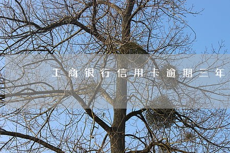 工商银行信用卡逾期三年了怎样