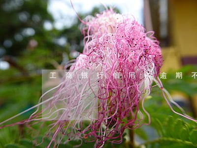 工商银行信用卡逾期不给减免 工商银行信用卡逾期不给减免