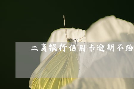 工商银行信用卡逾期不给解冻 工商银行信用卡逾期不给解冻