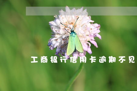 工商银行信用卡逾期不见了 工商银行信用卡逾期不见了