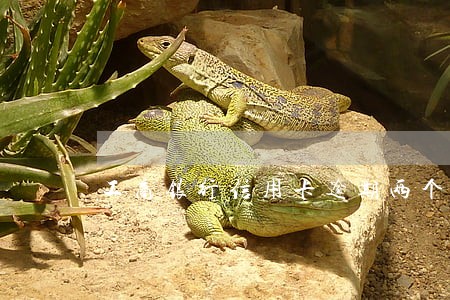 工商银行信用卡逾期两个月了 工商银行信用卡逾期两个月了