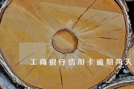 工商银行信用卡逾期两天就被冻结 工商银行信用卡逾期两天就被冻结
