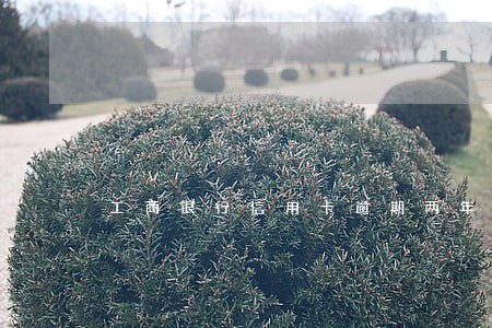 工商银行信用卡逾期两年额度