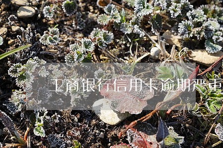 工商银行信用卡逾期严重扣款