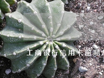 工商银行信用卡逾期九千起诉 工商银行信用卡逾期九千起诉