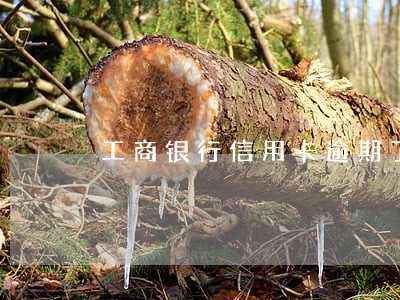工商银行信用卡逾期了会发信息吗 工商银行信用卡逾期了会发信息吗