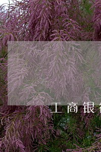 工商银行信用卡逾期了几天