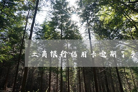工商银行信用卡逾期了多久解冻 工商银行信用卡逾期了多久解冻