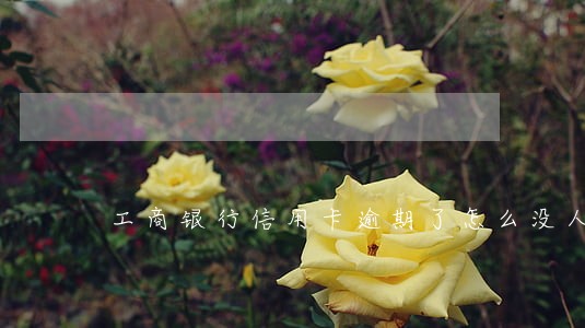 工商银行信用卡逾期了怎么没人催 工商银行信用卡逾期了怎么没人催