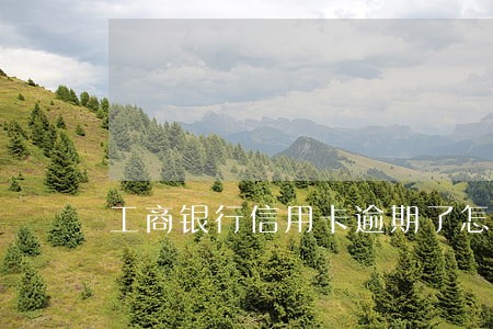 工商银行信用卡逾期了怎么还 工商银行信用卡逾期了怎么还