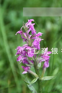 工商银行信用卡逾期了还能申请吗 工商银行信用卡逾期了还能申请吗
