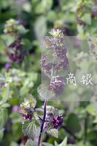 工商银行信用卡逾期五年没有通知