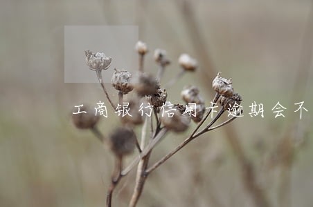 工商银行信用卡逾期会不会扣费 工商银行信用卡逾期会不会扣费