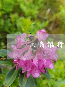 工商银行信用卡逾期会到家里来吗 工商银行信用卡逾期会到家里来吗