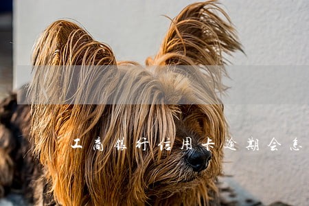 工商银行信用卡逾期会怎样 工商银行信用卡逾期会怎样