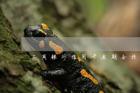 工商银行信用卡逾期会提示么