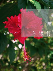 工商银行信用卡逾期保证金 工商银行信用卡逾期保证金