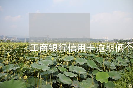 工商银行信用卡逾期俩个月冻结