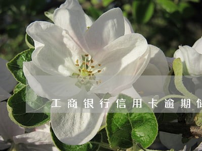 工商银行信用卡逾期储蓄卡锁卡 工商银行信用卡逾期储蓄卡锁卡