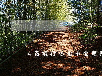 工商银行信用卡逾期再办新卡