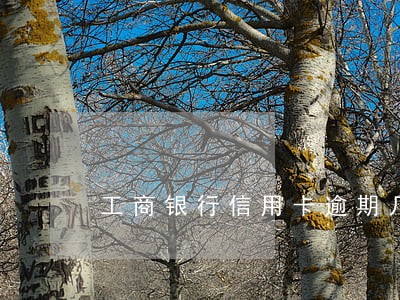 工商银行信用卡逾期几万 工商银行信用卡逾期几万
