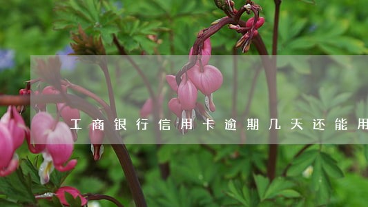 工商银行信用卡逾期几天还能用吗 工商银行信用卡逾期几天还能用吗
