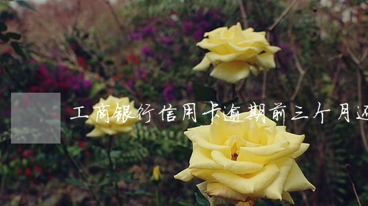 工商银行信用卡逾期前三个月还