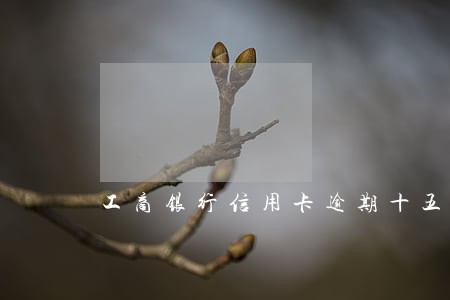 工商银行信用卡逾期十五个月 工商银行信用卡逾期十五个月