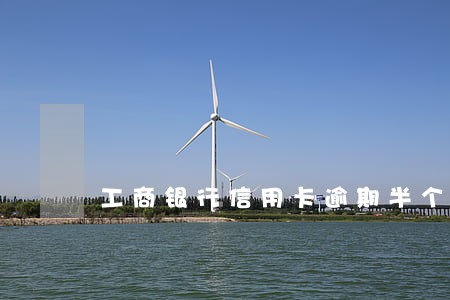工商银行信用卡逾期半个小时 工商银行信用卡逾期半个小时