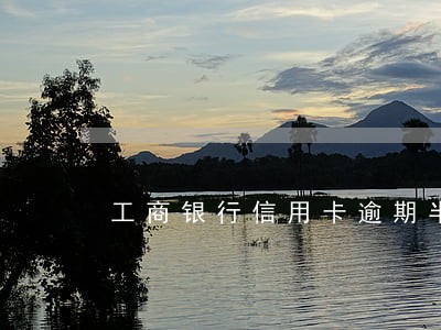 工商银行信用卡逾期半个月怎么样