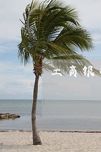 工商银行信用卡逾期半年多 工商银行信用卡逾期半年多