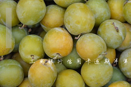 工商银行信用卡逾期半年收回吗 工商银行信用卡逾期半年收回吗