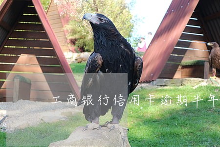 工商银行信用卡逾期半年最低还款
