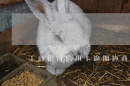 工商银行信用卡逾期协商冲减 工商银行信用卡逾期协商冲减