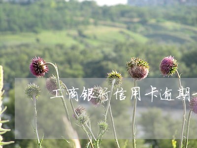 工商银行信用卡逾期卡被作废 工商银行信用卡逾期卡被作废