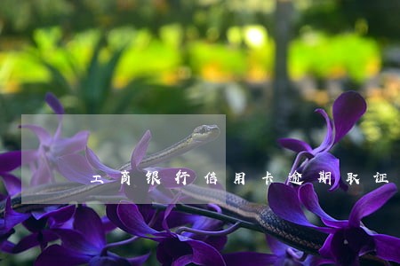 工商银行信用卡逾期取证通知 工商银行信用卡逾期取证通知