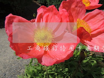 工商银行信用卡逾期变成废卡 工商银行信用卡逾期变成废卡