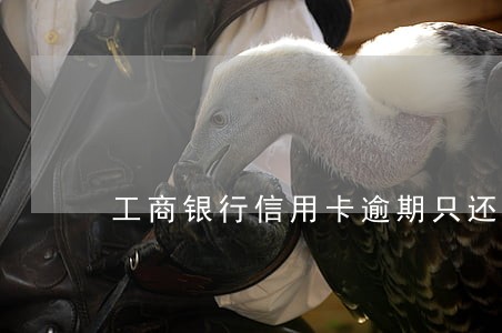 工商银行信用卡逾期只还本金 工商银行信用卡逾期只还本金